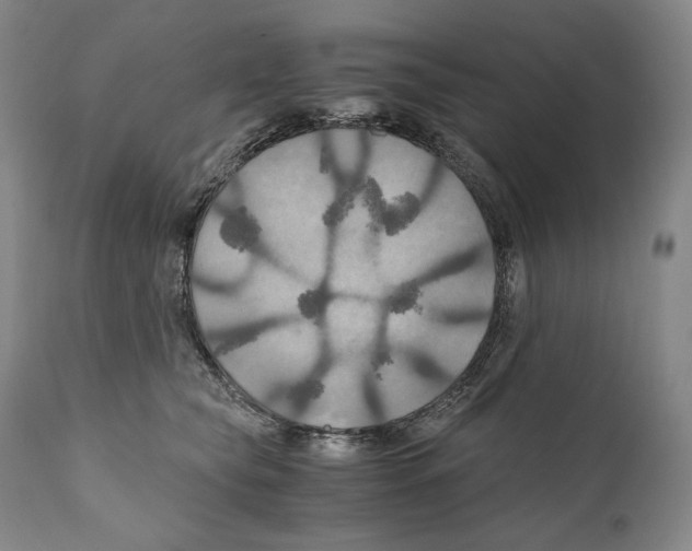 X0000111030565200907231623