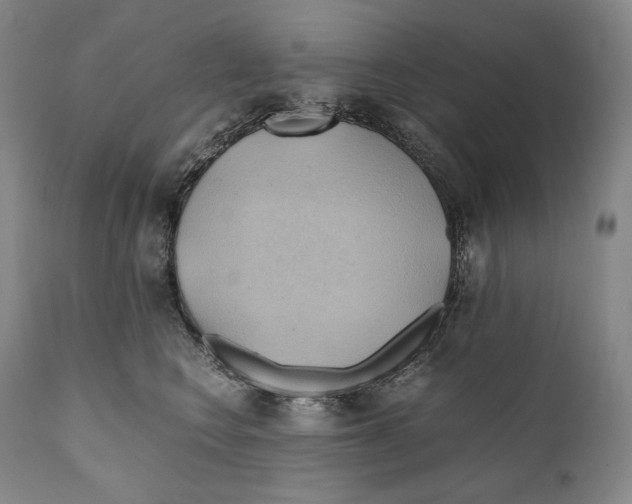 X0000111030566200907231624