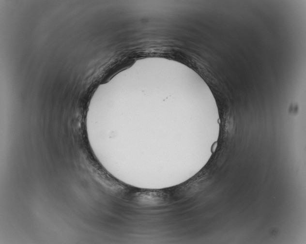 X0000111030567200907231624