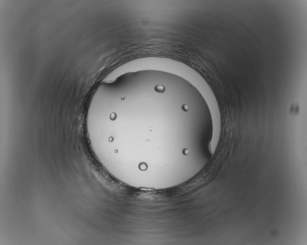 X0000111030568200907231624