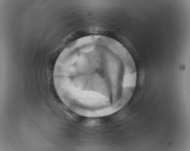 X0000111030569200907231624