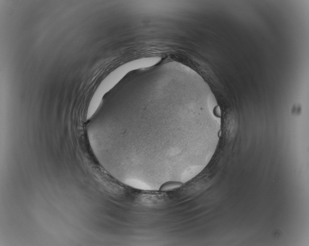 X0000111030571200907231624