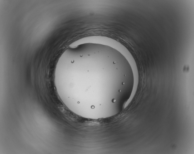 X0000111030572200907231624