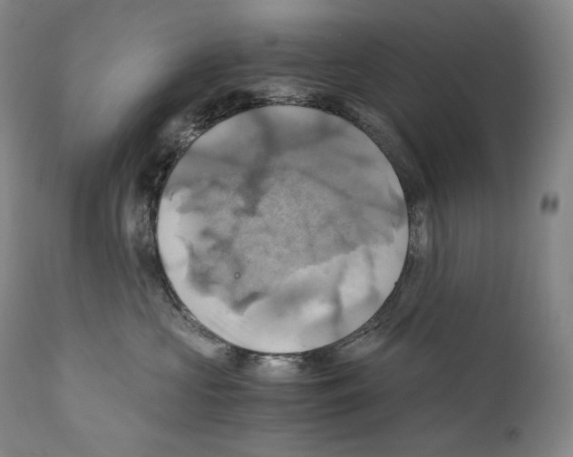 X0000111030573200907231624