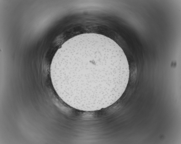 X0000111030574200907231624