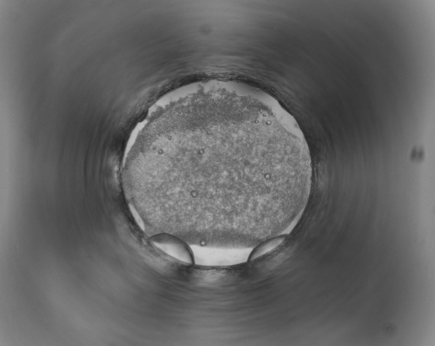 X0000111030575200907231624