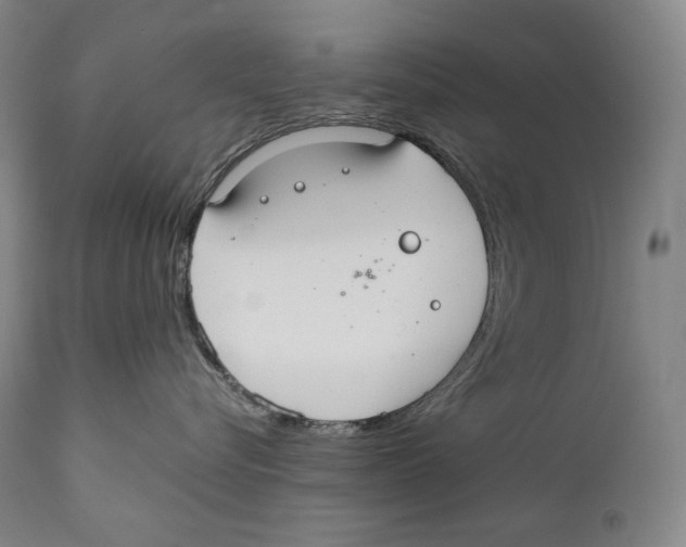 X0000111030576200907231624