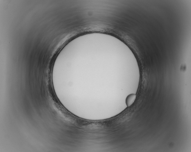 X0000111030578200907231623