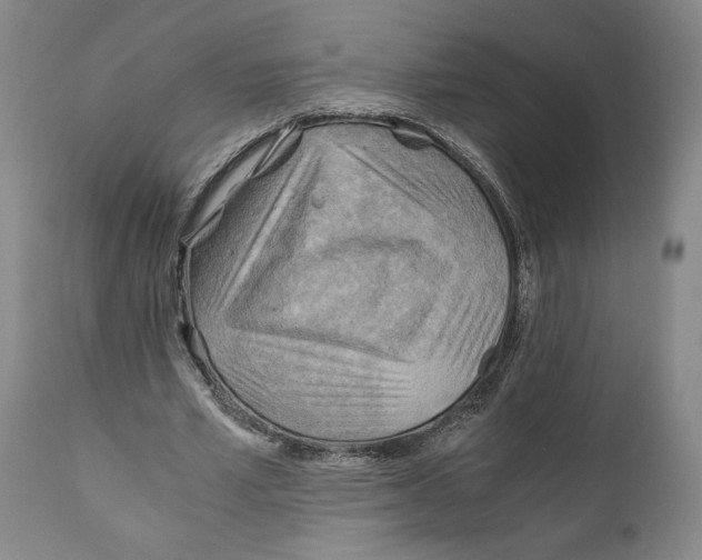 X0000111030581200907231623