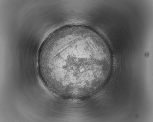 X0000111030582200907231623