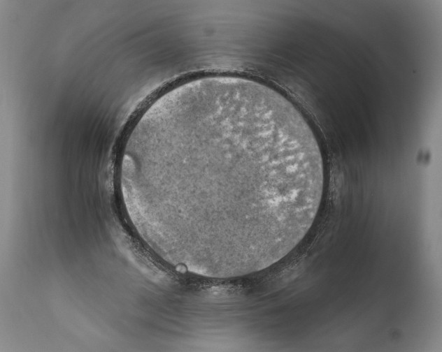 X0000111030584200907231623