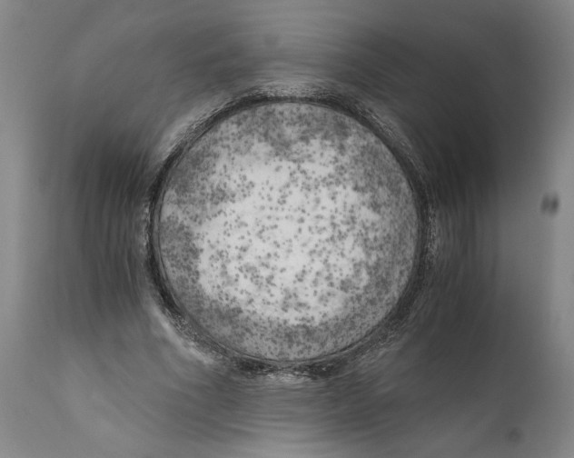 X0000111030586200907231623