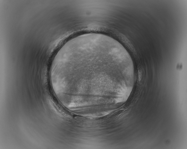 X0000111030588200907231623