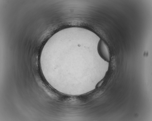 X0000111030589200907231623