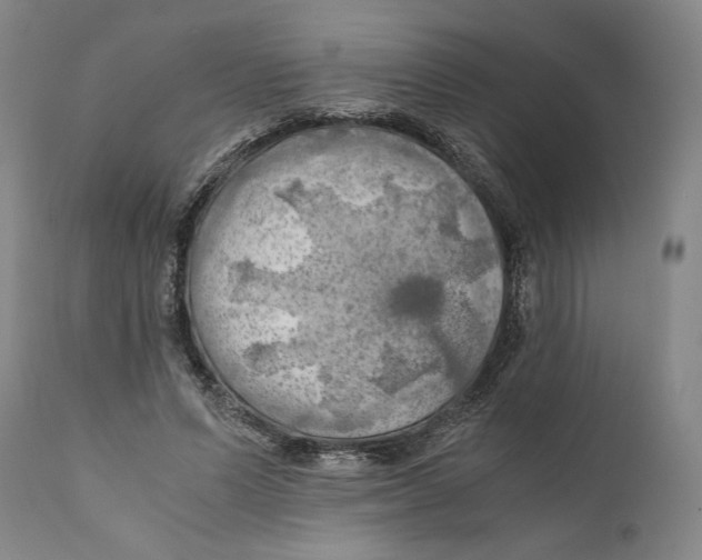 X0000111030591200907231623