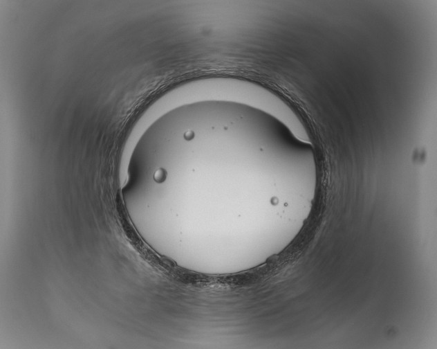 X0000111030593200907231623