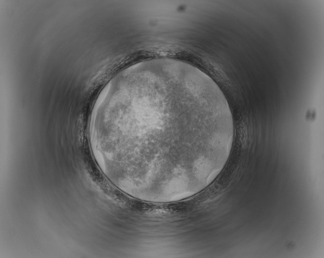 X0000111030594200907231623