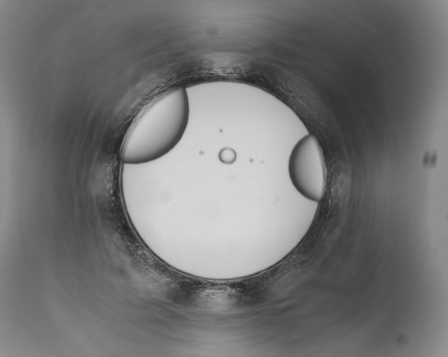 X0000111030595200907231623