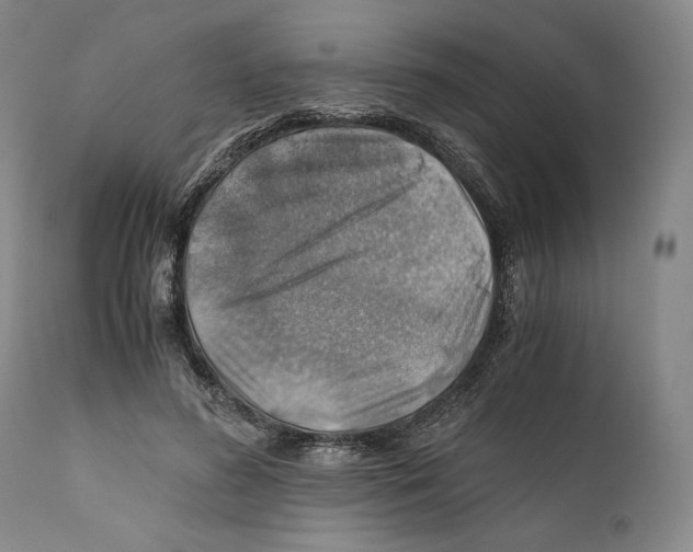 X0000111030596200907231623