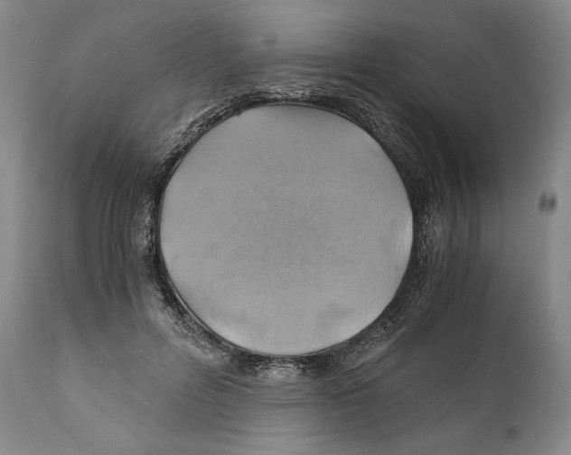 X0000111030600200907231622