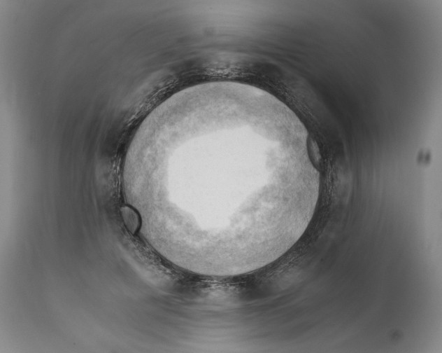 X0000111030601200907231622