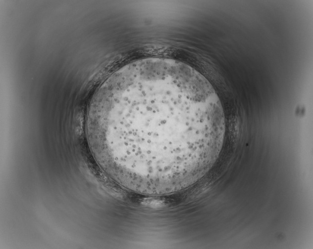 X0000111030602200907231622