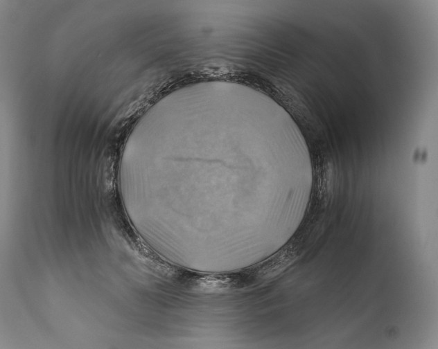 X0000111030606200907231622