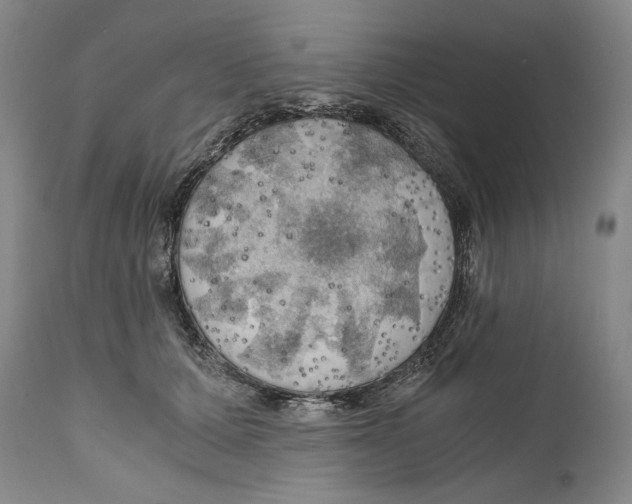 X0000111030607200907231622