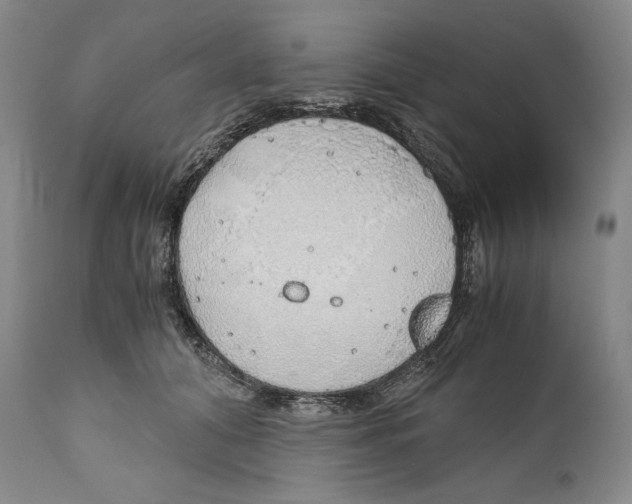 X0000111030608200907231622