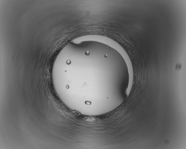 X0000111030611200907231622