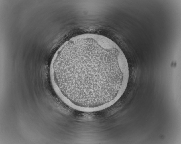 X0000111030612200907231622