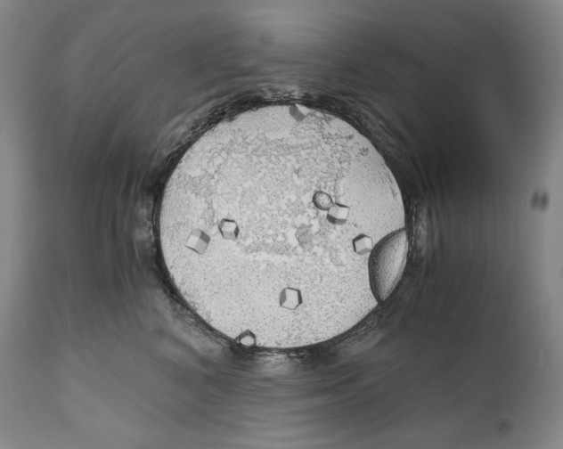 X0000111030616200907231622