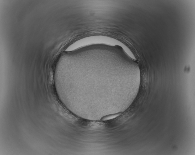 X0000111030617200907231622