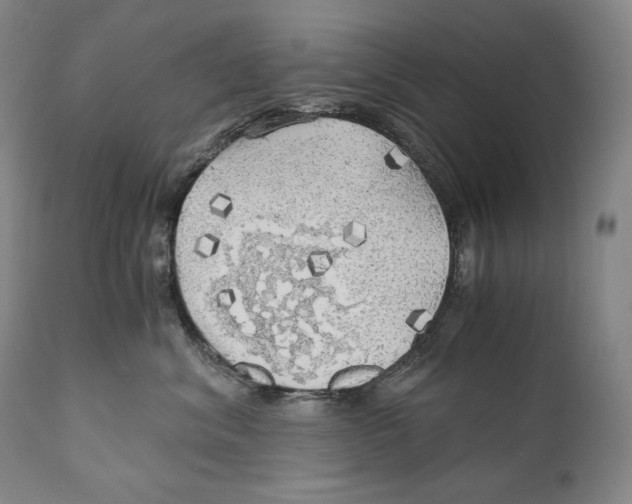 X0000111030620200907231622