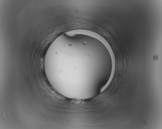 X0000111030621200907231622