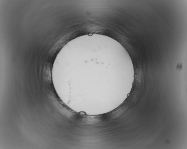 X0000111030622200907231622