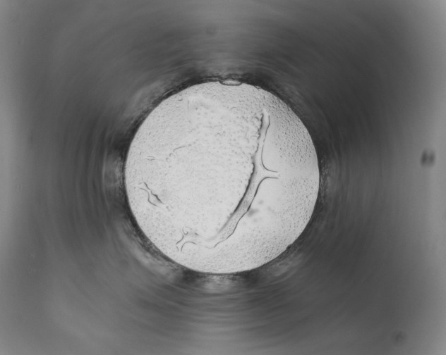 X0000111030623200907231622