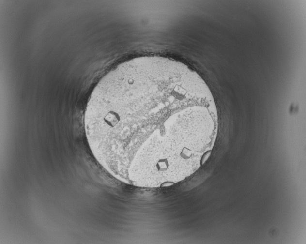 X0000111030624200907231622