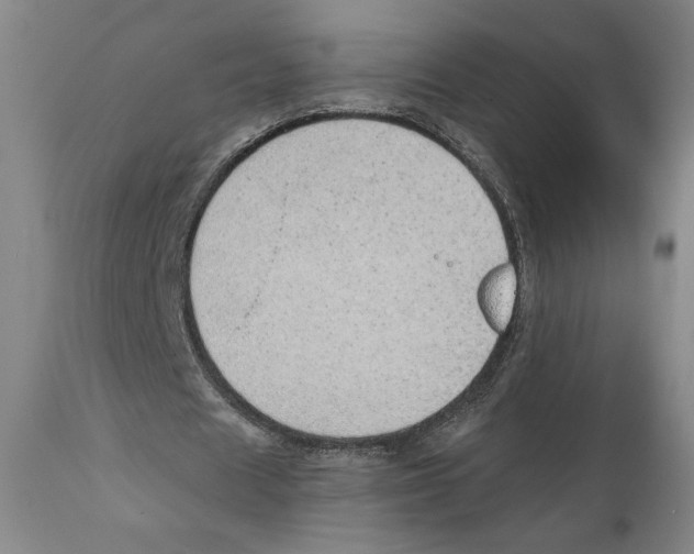 X0000111030625200907231621