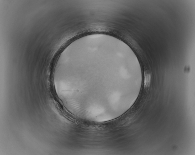 X0000111030627200907231621