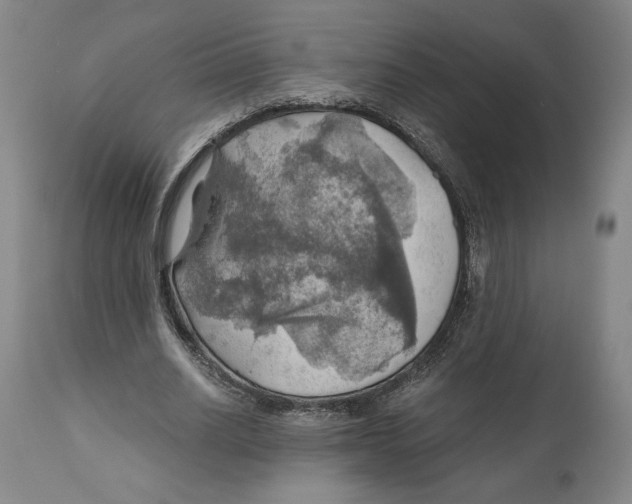 X0000111030630200907231622