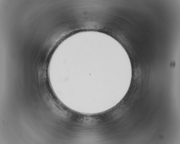 X0000111030632200907231622