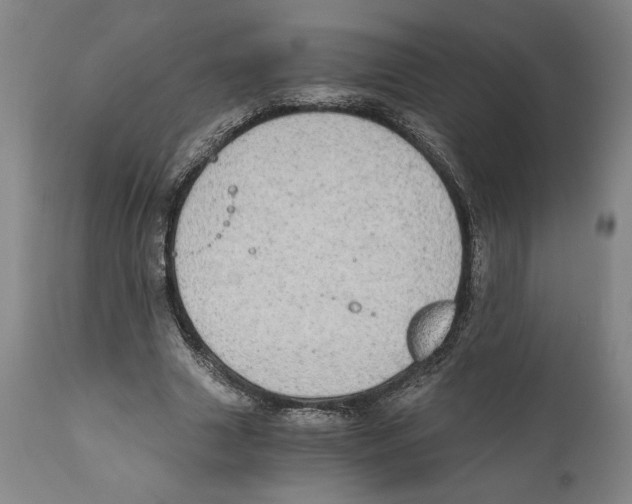 X0000111030633200907231622