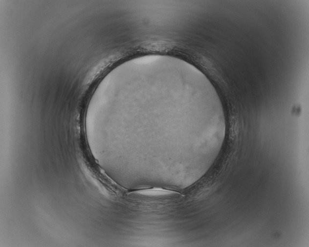 X0000111030634200907231622