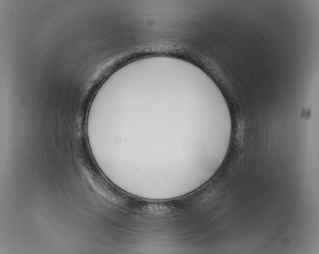 X0000111030636200907231622