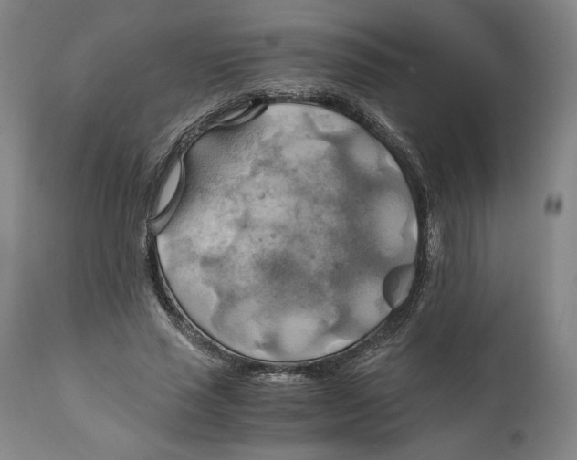 X0000111030637200907231622