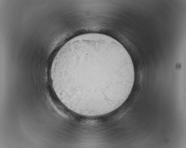 X0000111030638200907231622