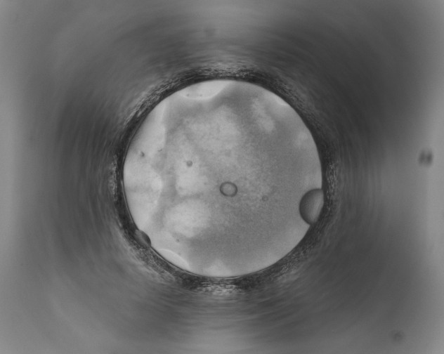 X0000111030642200907231622