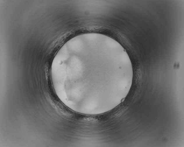 X0000111030644200907231622