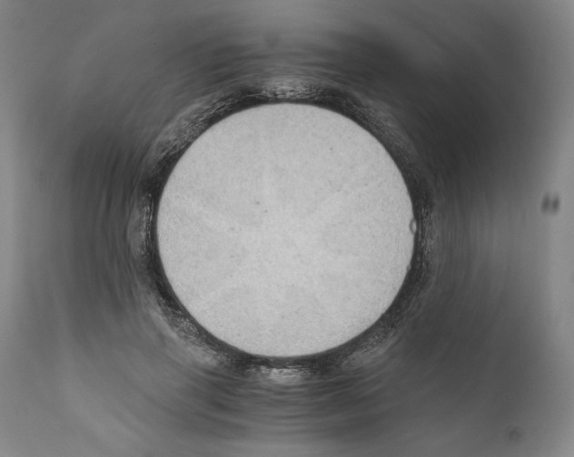 X0000111030645200907231622